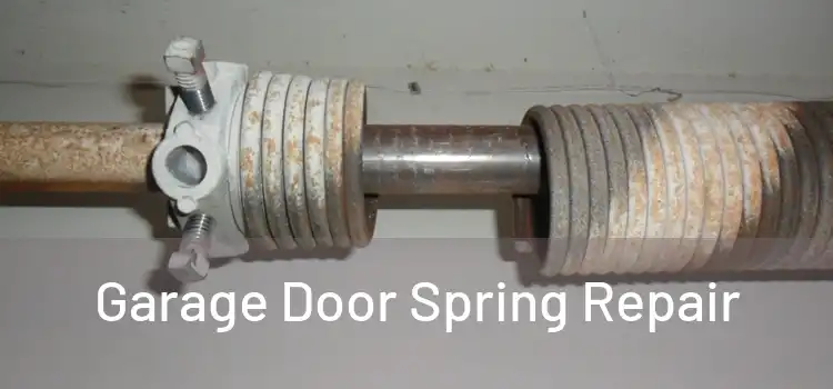  Garage Door Spring Repair 