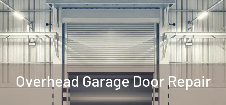  Overhead Garage Door Repair 